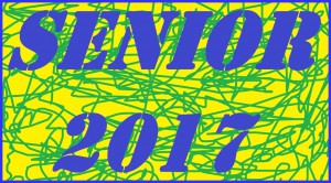 2017-logo-senior-barva.jpg