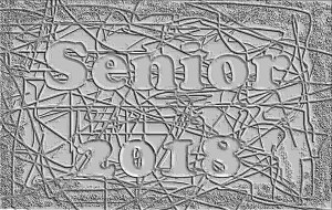logo-senior-2018.jpg